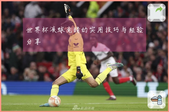 世界杯滚球竞猜的实用技巧与经验分享