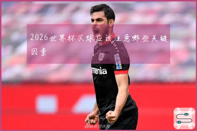 2026世界杯买球应该注意哪些关键因素