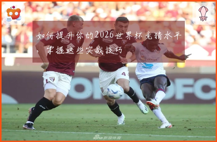 如何提升你的2026世界杯竞猜水平，掌握这些实战技巧