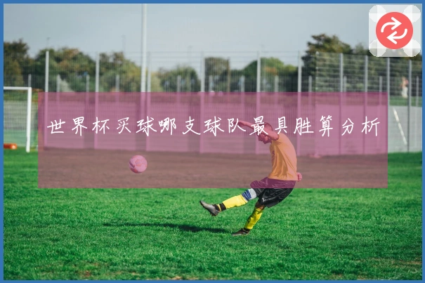 世界杯买球哪支球队最具胜算分析
