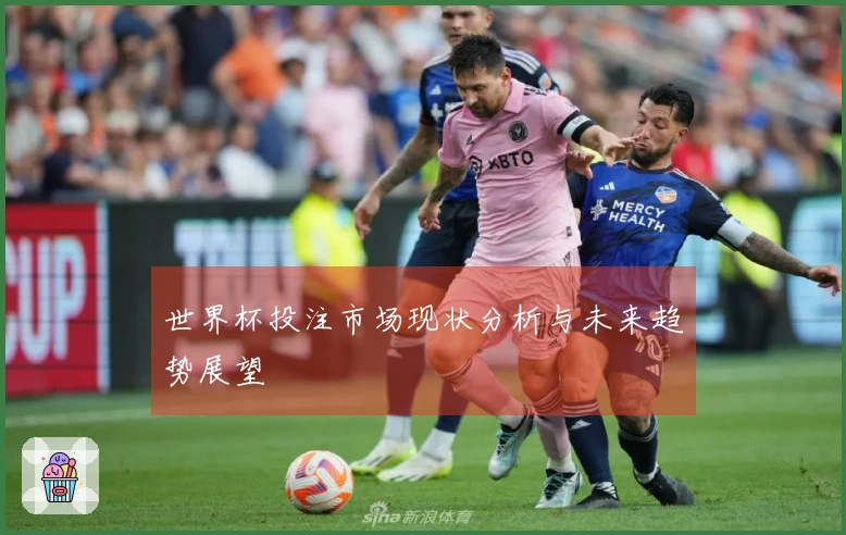 世界杯投注市场现状分析与未来趋势展望