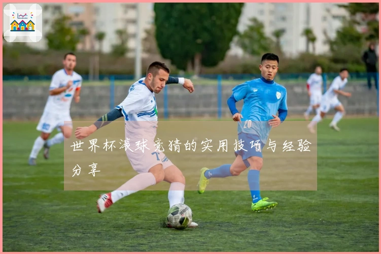 世界杯滚球竞猜的实用技巧与经验分享